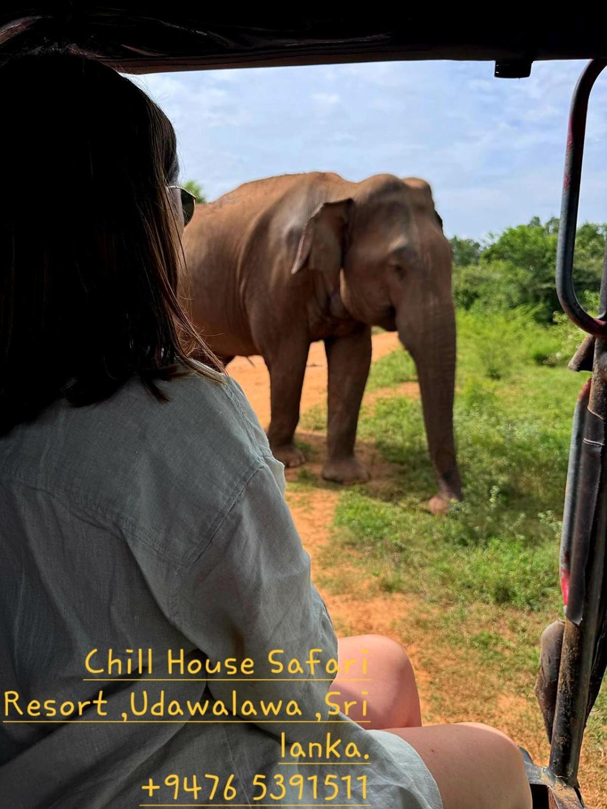 Chill House Safari Resort Udawalawe Exteriér fotografie